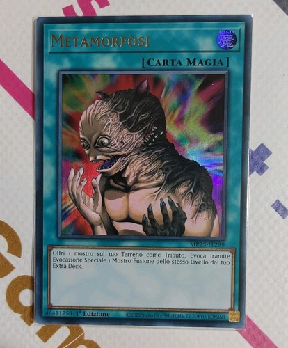 Metamorfosi - metamorfosi, •