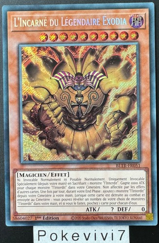 Carte l incarne du - carte, yu-gi-oh!