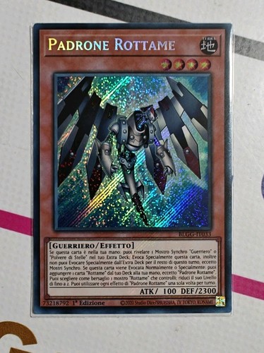Padrone rottame - padrone,